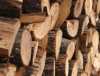 Дуб – універсальна деревина з відмінними характеристиками